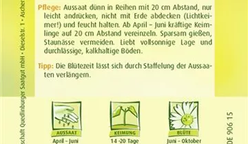 Bildvorschau