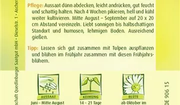 Bildvorschau