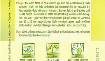 Bildvorschau