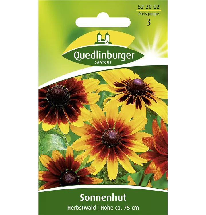 Rudbeckia hirta 'Herbstwald'