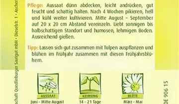 Bildvorschau