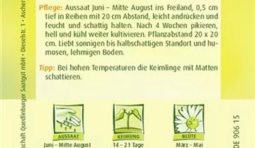 Bildvorschau