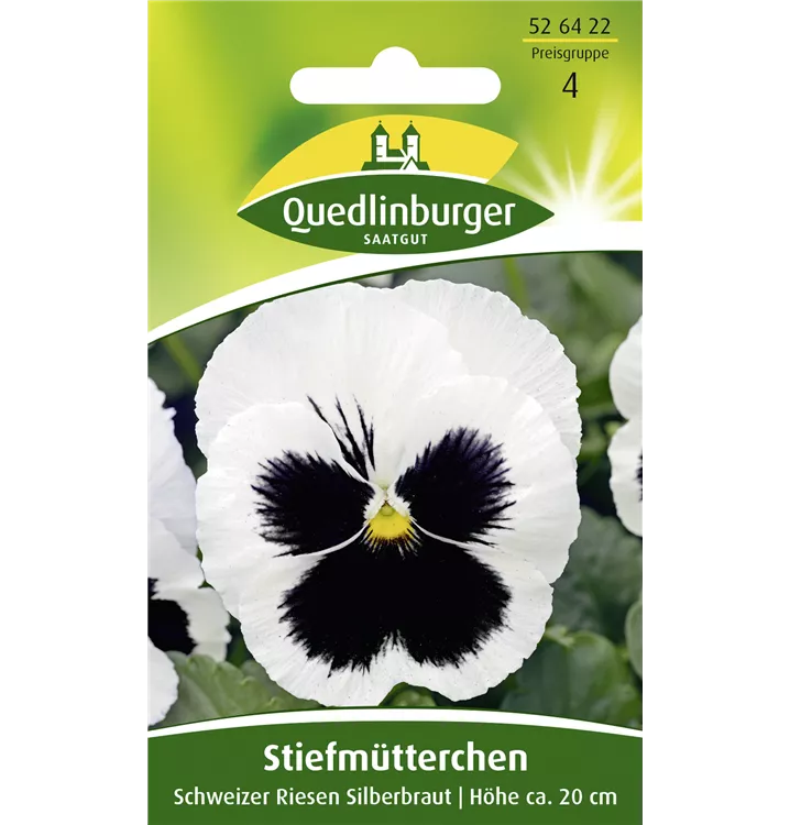 Viola x wittrockiana 'Schweizer Riesen Silberbraut'