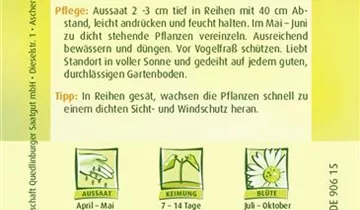 Bildvorschau