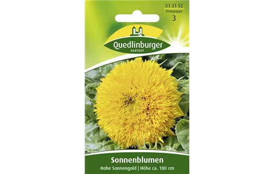 Sonnenblumensamen 'Hohe Sonnengold'