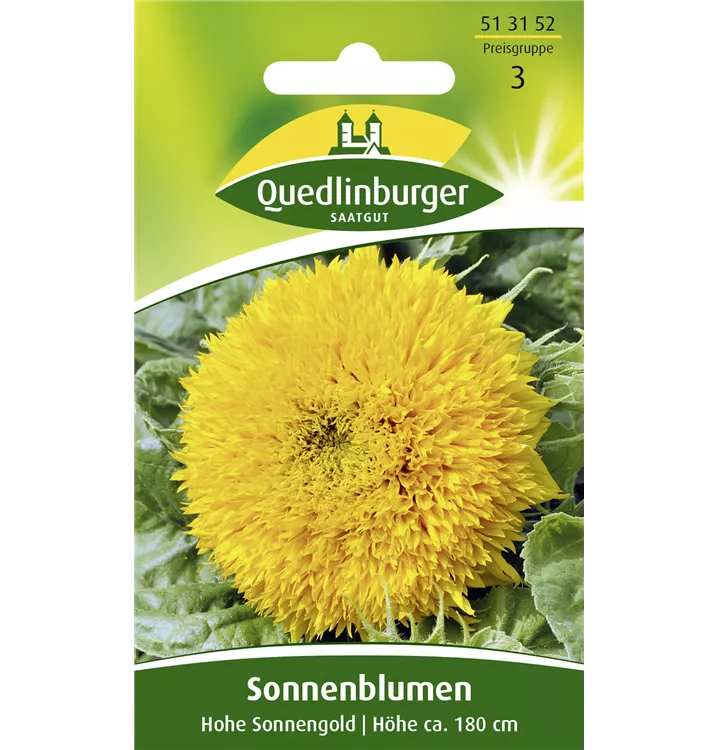 Helianthus annuus 'Hohe Sonnengold'