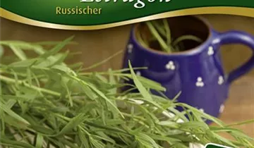 Bildvorschau
