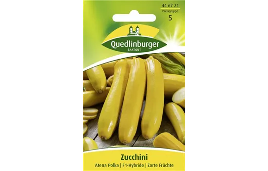 Zucchinisamen 'Atena Polka'