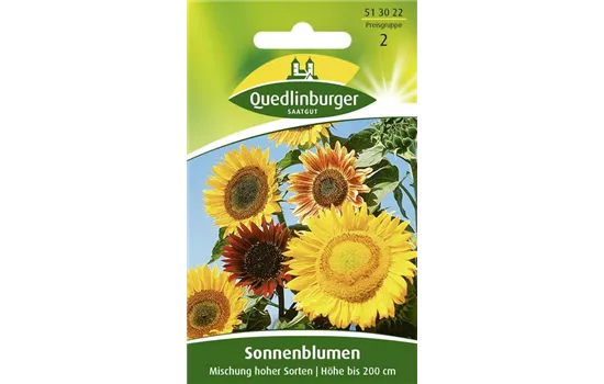 Sonnenblumensamen 'Mischung hoher Sorten'