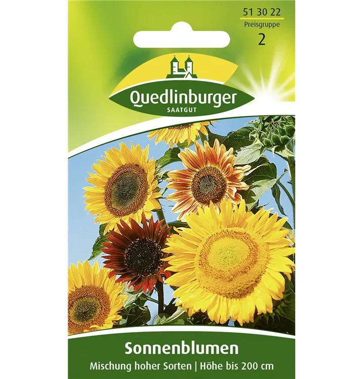 Helianthus annuus 'Mischung hoher Sorten'