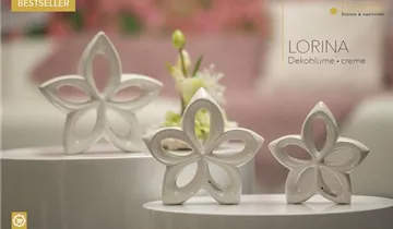 1A Garten Ammer 1A Garten Ammer