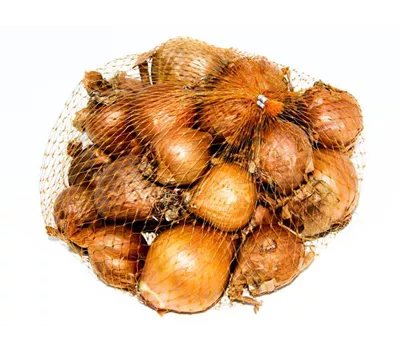Allium cepa var. ascalonicum 'Golden Gourmet'