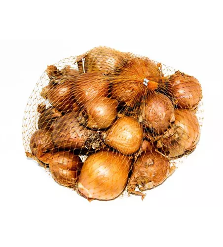 Allium cepa var. ascalonicum 'Golden Gourmet'