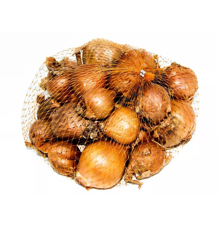 Schalotte 'Golden Gourmet'