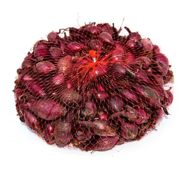 Allium cepa 'Piroska'