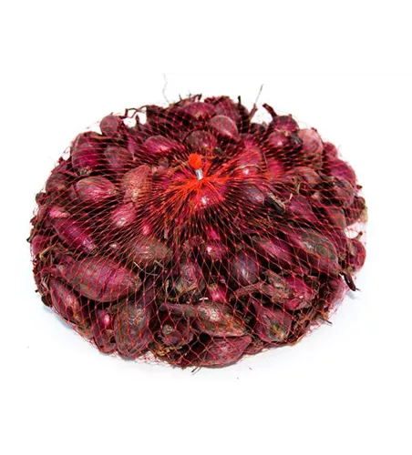 Allium cepa 'Piroska'