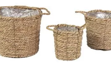 Zum Vergrößern klicken Bildvorschau