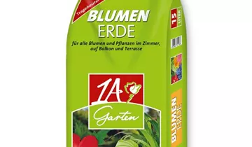 Bildvorschau