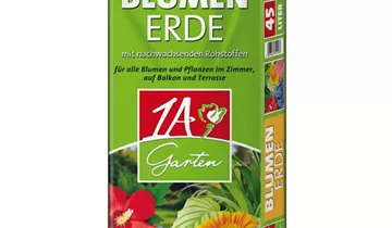Bildvorschau
