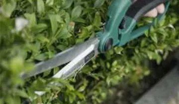 1A Garten Ammer 1A Garten Ammer