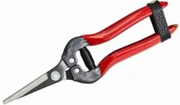 1A Garten Ammer 1A Garten Ammer