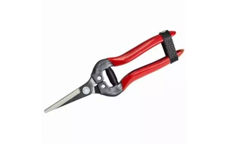 Premium Lese-, Ernte- und Blumenschere 19cm