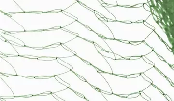 Zum Vergrößern klicken Bildvorschau