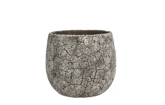 Thomas Topf rund off white