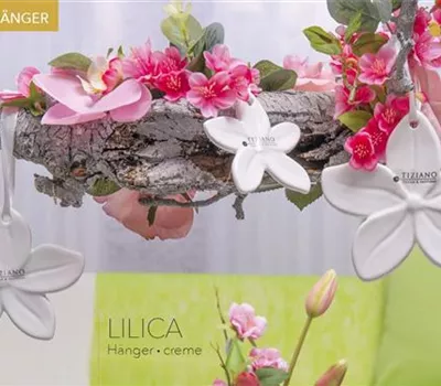 Deko Hänger Blume Lilicia creme-weiß