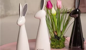 1A Garten Ammer 1A Garten Ammer