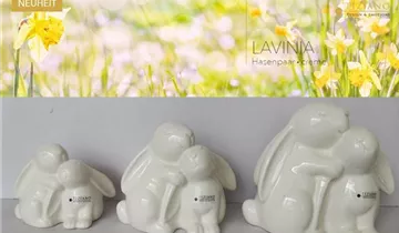 1A Garten Ammer 1A Garten Ammer