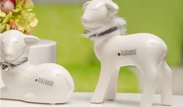 1A Garten Ammer 1A Garten Ammer