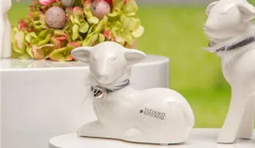 1A Garten Ammer 1A Garten Ammer