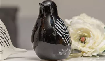 1A Garten Ammer 1A Garten Ammer