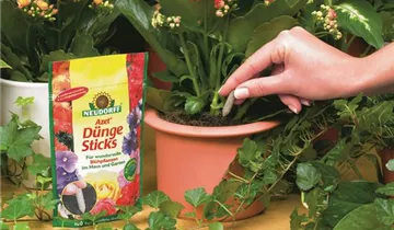 1A Garten Ammer 1A Garten Ammer