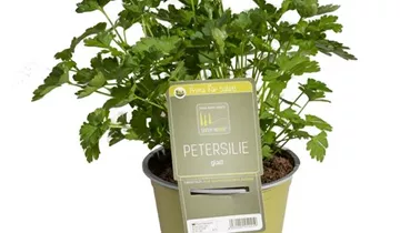 1A Garten Ammer 1A Garten Ammer