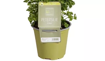 1A Garten Ammer 1A Garten Ammer