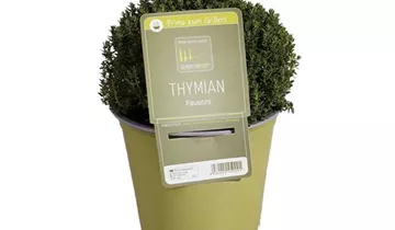 1A Garten Ammer 1A Garten Ammer