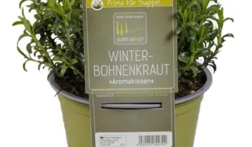 1A Garten Ammer