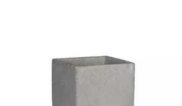 Zum Vergrößern klicken Bildvorschau