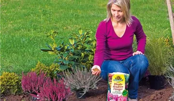 1A Garten Ammer 1A Garten Ammer