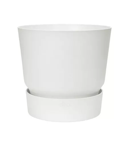 Greenville rund weiss Greenville rund weiss