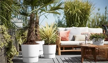 1A Garten Ammer 1A Garten Ammer