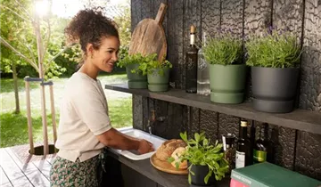 1A Garten Ammer 1A Garten Ammer