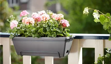 1A Garten Ammer 1A Garten Ammer