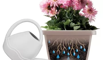 1A Garten Ammer 1A Garten Ammer