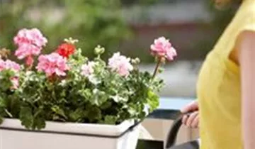 1A Garten Ammer 1A Garten Ammer