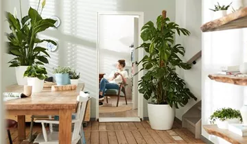 1A Garten Ammer 1A Garten Ammer