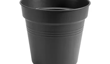 Zum Vergrößern klicken Bildvorschau