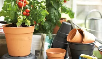 Zum Vergrößern klicken Bildvorschau